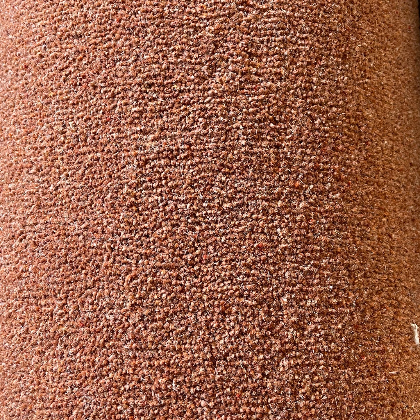 Wool Rich Rust 4.6 x 3.98m