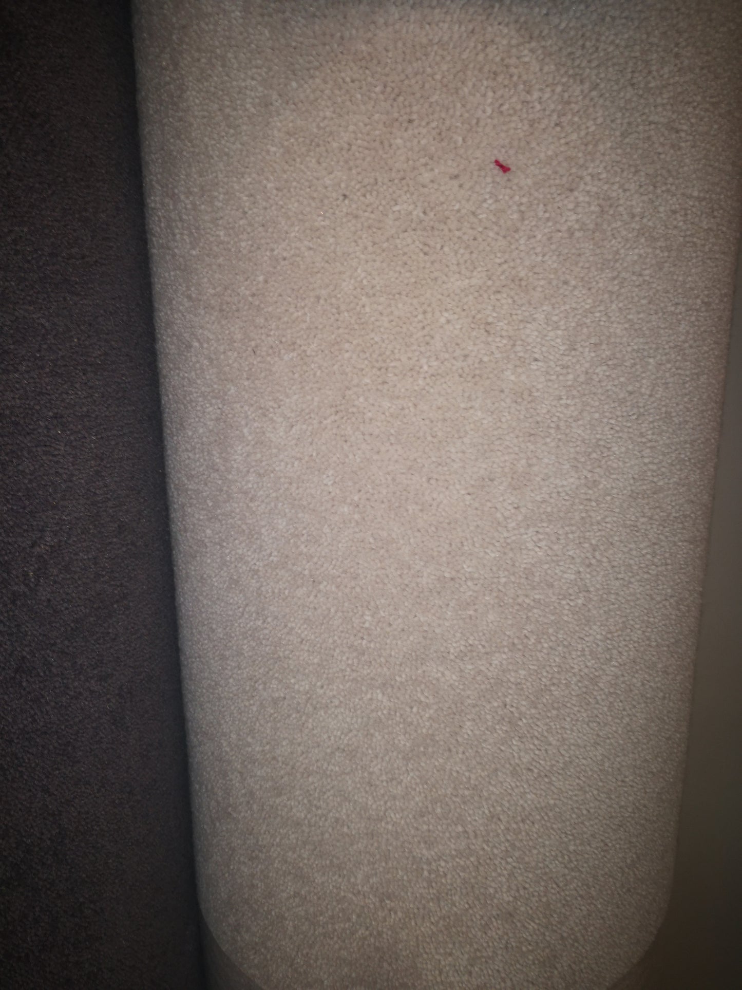 Wool remnant in cream 4 x 5 m