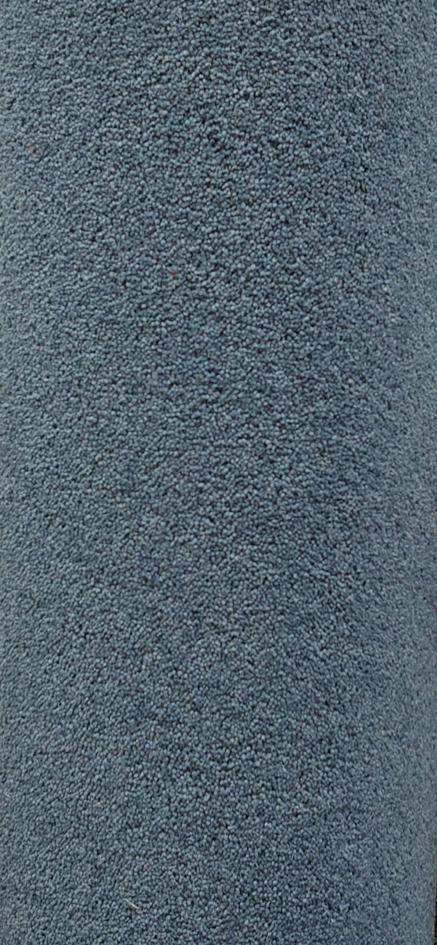 Teal Blue Wool Rich 3.99 x 4.8 m