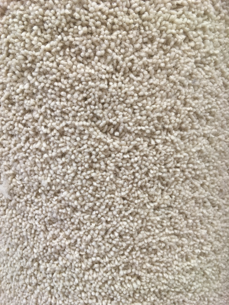 Pale Putty 50/50 4 x 3 m