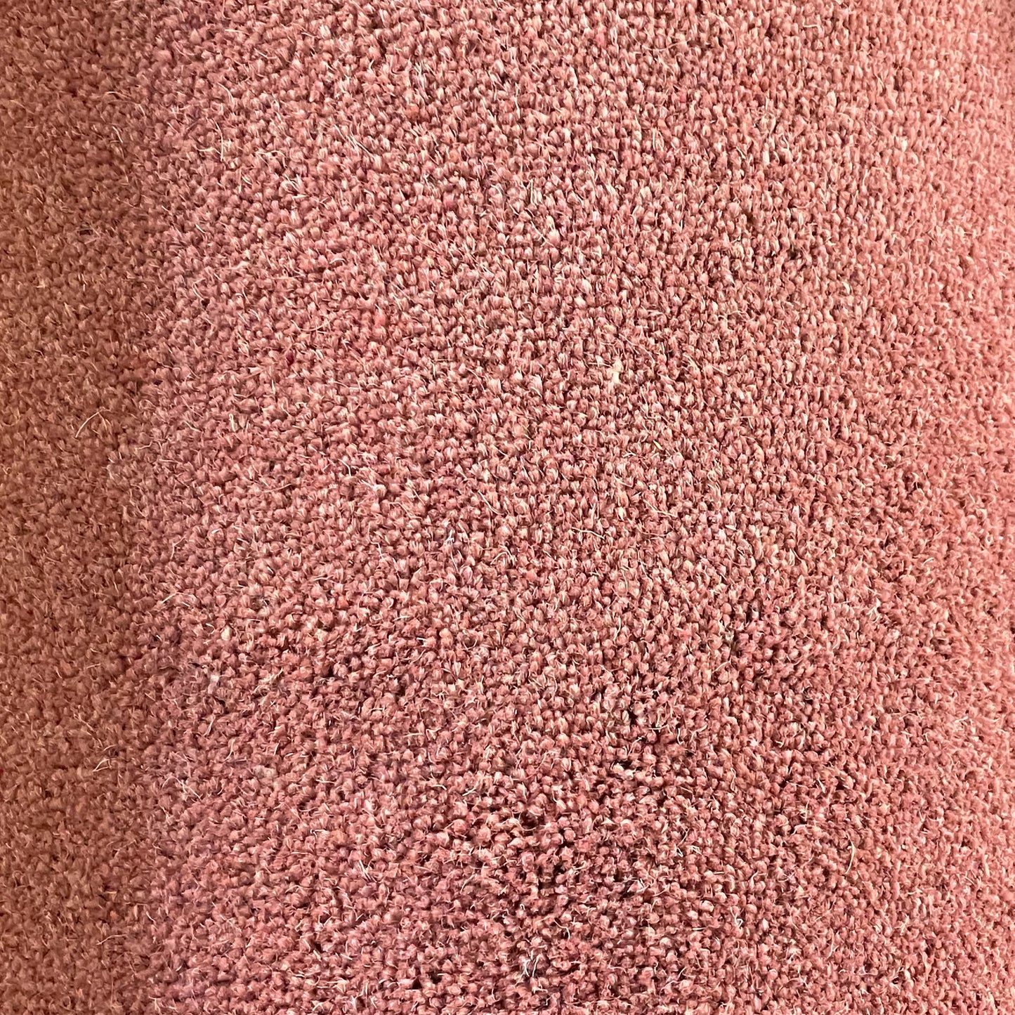 Pink Wool Rich 3.88 x 7.5m