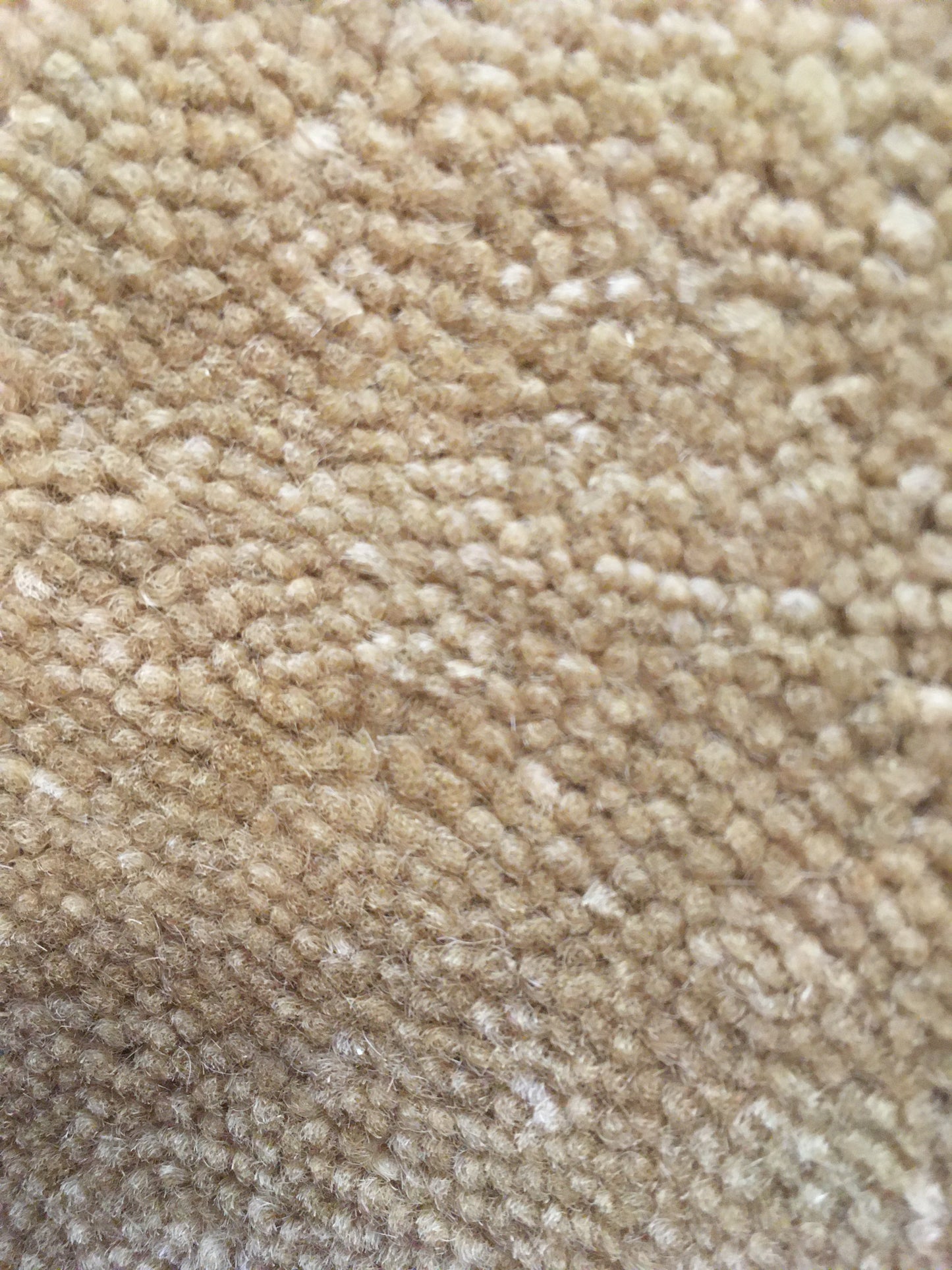 100% Wool Sandy Rug 120 x 180 cm